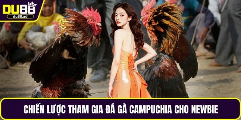 Chiến lược tham gia đá gà Campuchia cho newbie