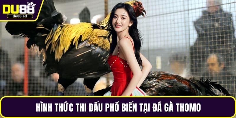 Hình thức thi đấu phổ biến tại đá gà Thomo