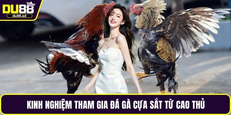 Kinh nghiệm tham gia đá gà cựa sắt từ cao thủ