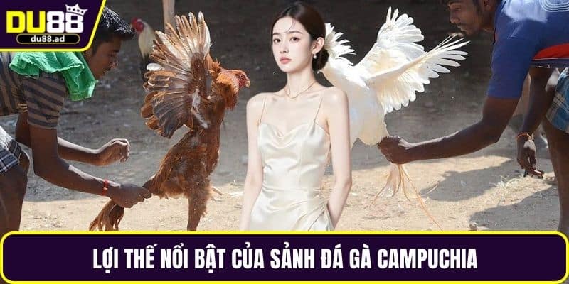 Lợi thế nổi bật của sảnh đá gà Campuchia