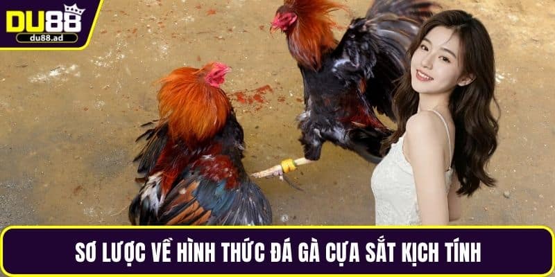 Sơ lược về hình thức đá gà cựa sắt kịch tính