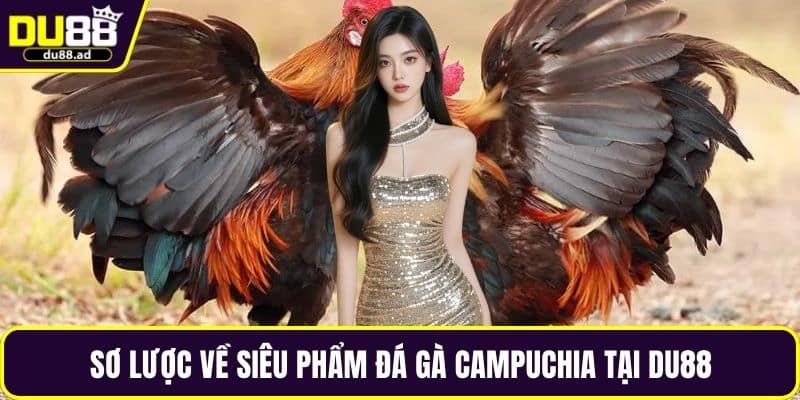 Sơ lược về siêu phẩm đá gà Campuchia tại DU88