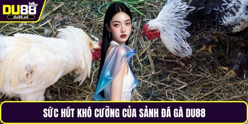 Sức hút khó cưỡng của sảnh đá gà DU88